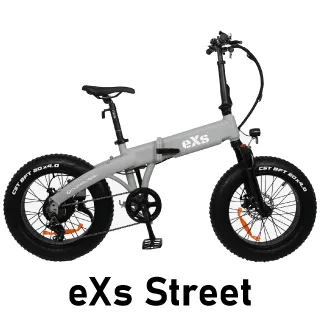 eXs-2